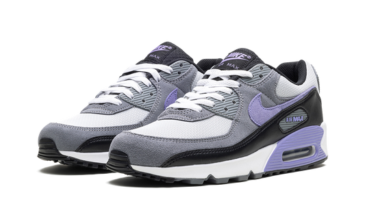 Air Max 90 "Light Thistle" DM0029 014