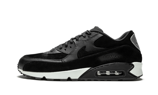 Air Max 90 Premium "Rebel Skulls" 700155 009