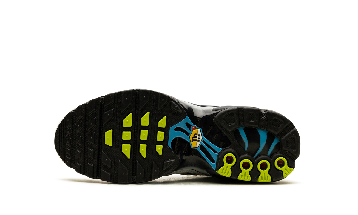 Air Max Plus Big Kid "Layered Swoosh" DV7140 100