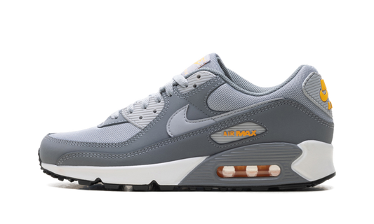 Air Max 90 "Cool Grey Sundial" HV6224 002