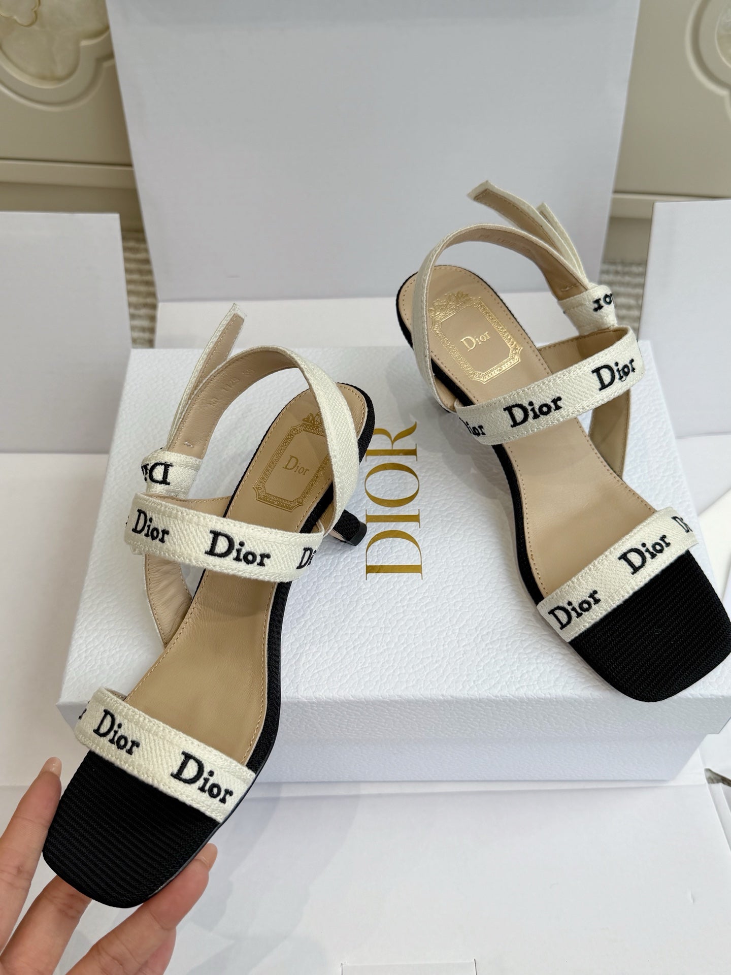 Dior 2026 Strappy High-heeled Sandal Black White Embroidered Cotton Leather 717870