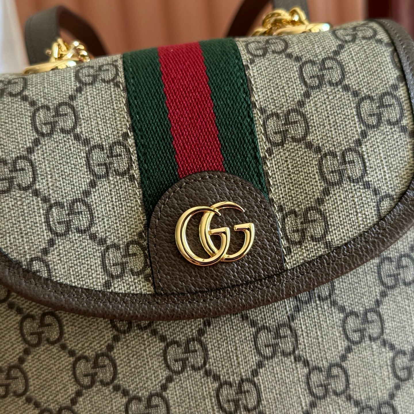 Gucci 2026 Ophidia Backpack 20.5cm Brown Ebony Canvas Leather 280939