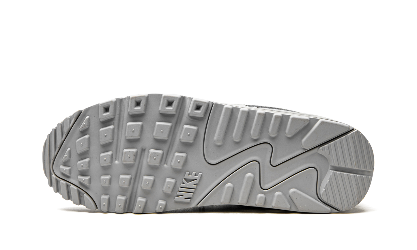 Air Max 90 "Wolf Grey" CN8490 001