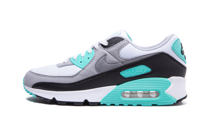Air Max 90 "Turquoise" CD0881 100